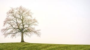 funeral homes Richland, PA