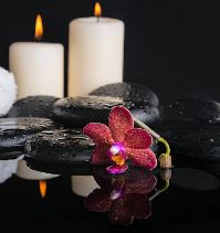 cremation services richland pa