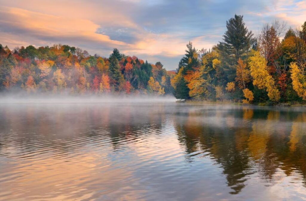 Anthony Cohen Obituary