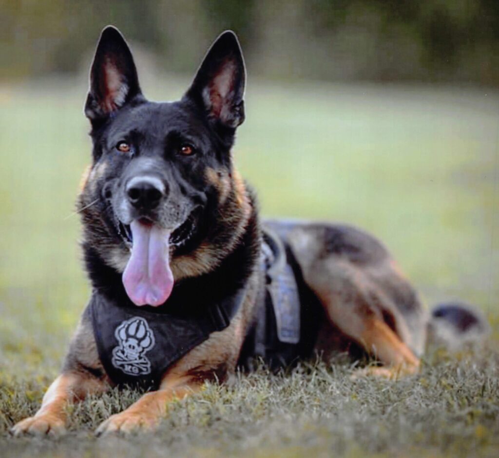 k9-bas-wyar-obituary