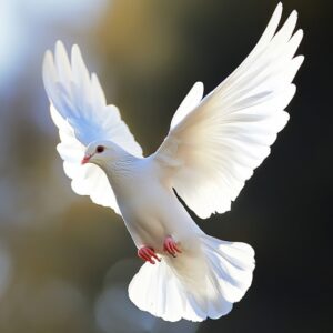 funeral homes Johnstown, PA