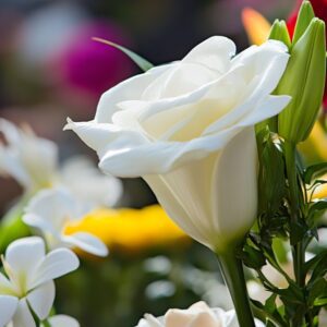 Creating Lasting Memories with Customized Cremation cremation services Northern Cambria, PA