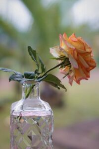 Embracing New Traditions in Cremation Memorials cremation services Richland, PA