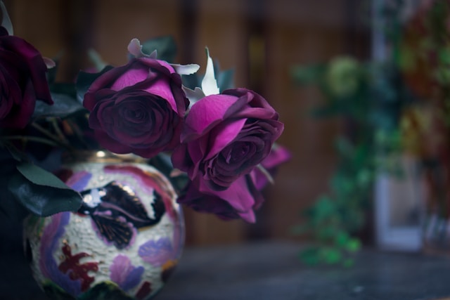 cremation services Westmont, PA