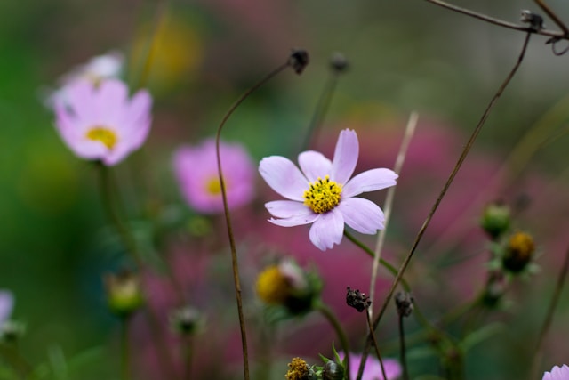 How Memorials Keep the Spirit of Loved Ones Alive cremation services Northern Cambria, PA