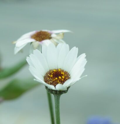 Ways to Create a Ceremony Filled With Love and Care