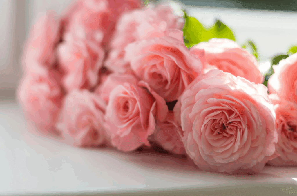 sylvia-ann-martinek-obituary