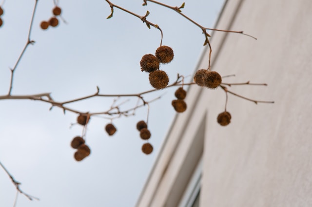 Pre-Need Planning for a Stress-Free Future cremation services Johnstown, PA