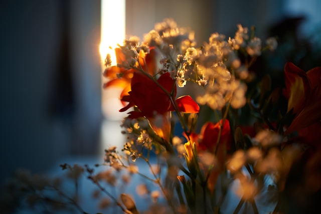 Softly lit flowers near candlelight, symbolizing remembrance and comfort, funeral homes Northern Cambria, PA